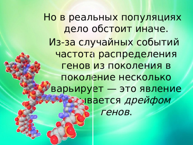 Но в реальных популяциях дело обстоит иначе.  Из-за случайных событий частота распределения генов из поколения в поколение несколько варьирует — это явление называется дрейфом генов . 