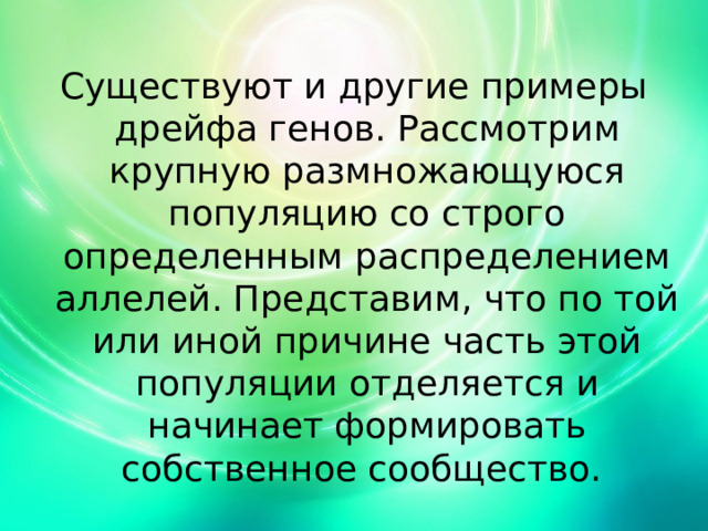 Существуют и другие примеры дрейфа генов. Рассмотрим крупную размножающуюся популяцию со строго определенным распределением аллелей. Представим, что по той или иной причине часть этой популяции отделяется и начинает формировать собственное сообщество. 