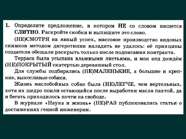 Задание 13 егэ по русскому презентация