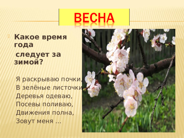 Времена года 3 проект