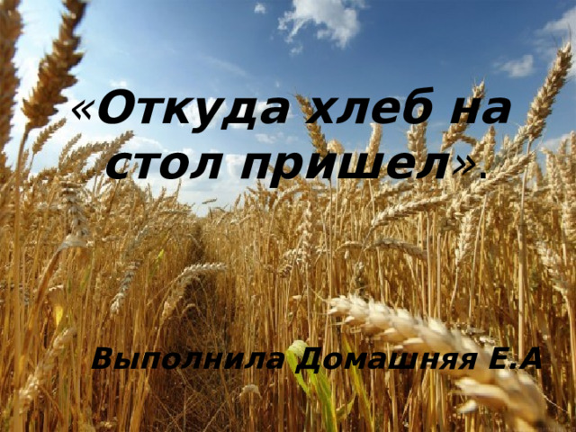 « Откуда хлеб на стол пришел » . Выполнила Домашняя Е.А 