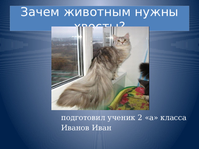 Зачем животным нужны хвосты? подготовил ученик 2 «а» класса Иванов Иван 