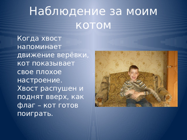 Наблюдение за моим котом  Когда хвост напоминает движение верёвки, кот показывает свое плохое настроение.  Хвост распушен и поднят вверх, как флаг – кот готов поиграть. 