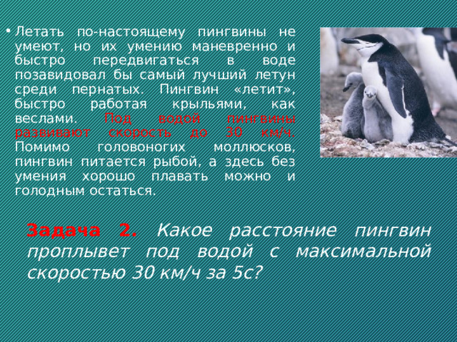 Пингвины Самым большим из современных представителей является императорский пингвин (рост - 110-120 см, вес до 46 кг). Средняя скорость, которую пингвины развивают в воде, составляет от пяти до десяти километров в час, однако на коротких дистанциях возможны и более высокие показатели. На суше пингвины развивают скорость 3-6 км/ч. 