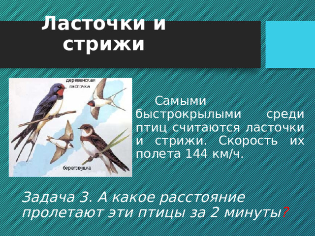 Летать по-настоящему пингвины не умеют, но их умению маневренно и быстро передвигаться в воде позавидовал бы самый лучший летун среди пернатых. Пингвин «летит», быстро работая крыльями, как веслами. Под водой пингвины развивают скорость до 30 км/ч. Помимо головоногих моллюсков, пингвин питается рыбой, а здесь без умения хорошо плавать можно и голодным остаться. Задача 2. Какое расстояние пингвин проплывет под водой с максимальной скоростью 30 км/ч за 5с? 