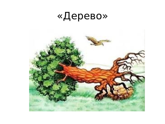 «Дерево» 