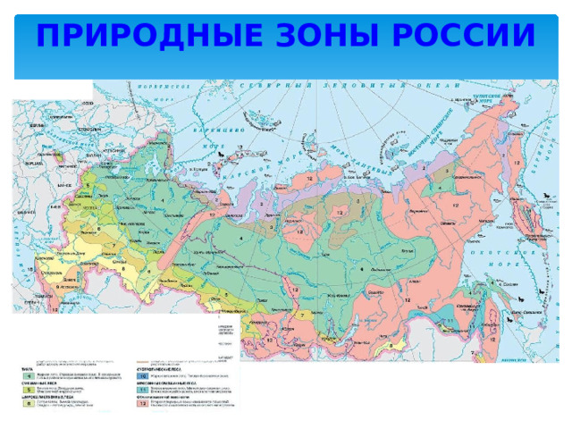 Природные зоны россии 