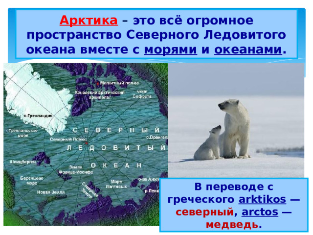 Арктика  – это всё огромное пространство Северного Ледовитого океана вместе с морями и океанами . В переводе с греческого arktikos  — северный , аrctos  — медведь . 