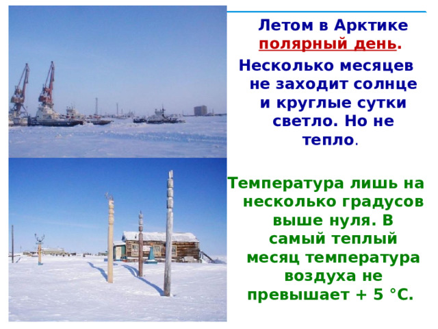  Летом в Арктике полярный день . Несколько месяцев не заходит солнце и круглые сутки светло. Но не тепло .   Температура лишь на несколько градусов выше нуля. В самый теплый месяц температура воздуха не превышает + 5 °C. 