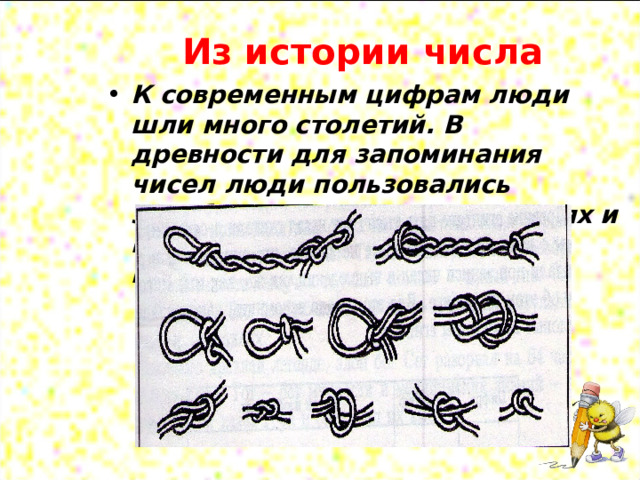 Из истории числа К современным цифрам люди шли много столетий. В древности для запоминания чисел люди пользовались зарубками на камнях, деревьях и палках, а также узлами на верёвках. 