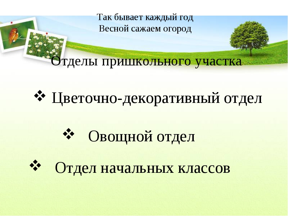 План работы на учебно опытном участке в школе