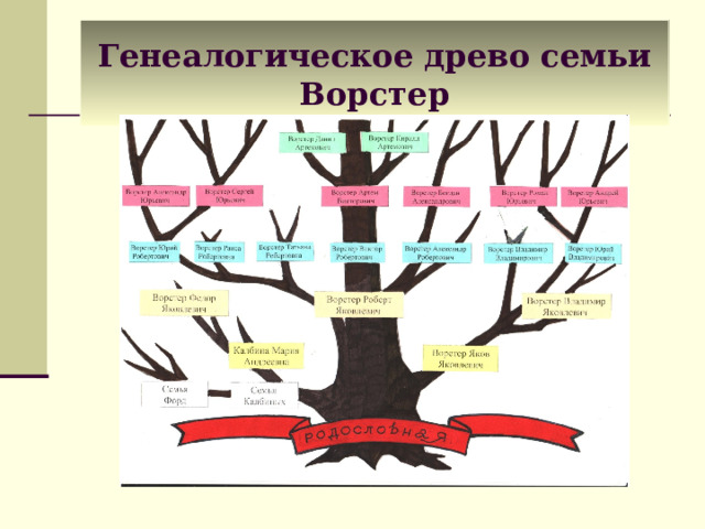 Генеалогическое древо семьи Ворстер 