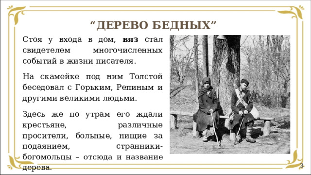 “ ДЕРЕВО БЕДНЫХ”   Стоя у входа в дом, вяз стал свидетелем многочисленных событий в жизни писателя. На скамейке под ним Толстой беседовал с Горьким, Репиным и другими великими людьми. Здесь же по утрам его ждали крестьяне, различные просители, больные, нищие за подаянием, странники-богомольцы  – отсюда и название дерева.  