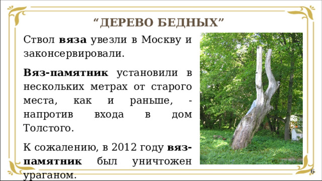 “ ДЕРЕВО БЕДНЫХ”   Ствол вяза увезли в Москву и законсервировали. Вяз-памятник установили в нескольких метрах от старого места, как и раньше, - напротив входа в дом Толстого. К сожалению, в 2012 году вяз-памятник был уничтожен ураганом.  