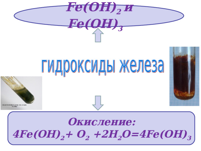 Fe(OH) 2  и Fe(OH) 3   Окисление: 4Fe(OH) 2 + O 2 +2H 2 O=4Fe(OH) 3 
