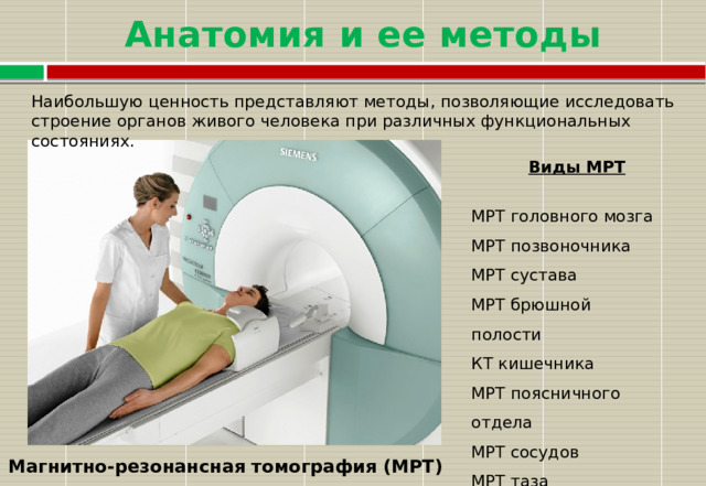 Анатомия и ее методы Наибольшую ценность представляют методы, позволяющие исследовать строение органов живого человека при различных функциональных состояниях.  Виды МРТ  МРТ головного мозга МРТ позвоночника МРТ сустава МРТ брюшной полости КТ кишечника МРТ поясничного отдела МРТ сосудов МРТ таза Магнитно-резонансная томография (МРТ) 