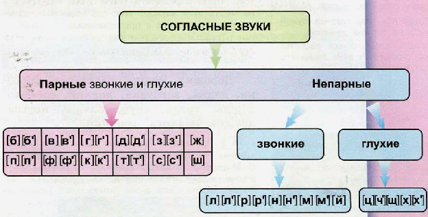 Различия в образовании звонких и глухих согласных