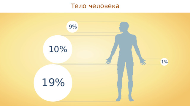 Тело человека 9% 10% 1% 19% 