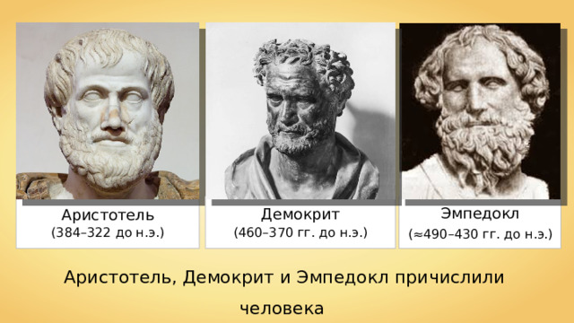 Эмпедокл Демокрит Аристотель (384–322 до н.э.) ( 4 60– 3 70  гг. до н.э.) (≈490–430  гг. до н.э.) Аристотель, Демокрит и Эмпедокл причислили человека к животным. 