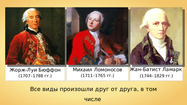 Жан-Батист Ламарк Михаил Ломоносов Жорж-Луи Бюффон (1711–1765  гг.) (1707–1788 гг.) (1744–1829  гг.) Все виды произошли друг от друга, в том числе и человек. 