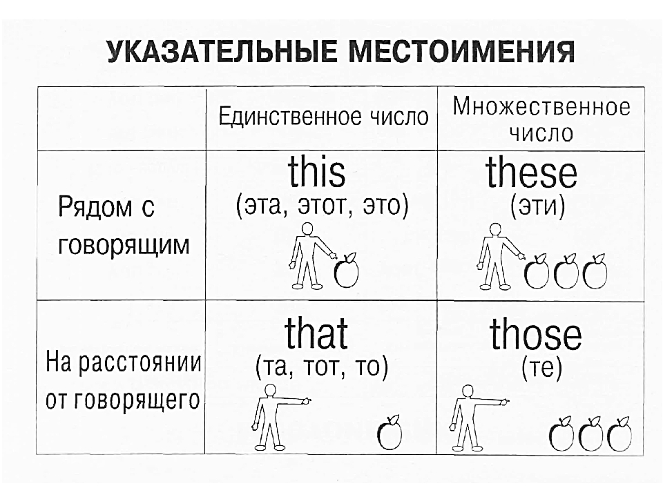 Английский язык схемы предложений 2 класс