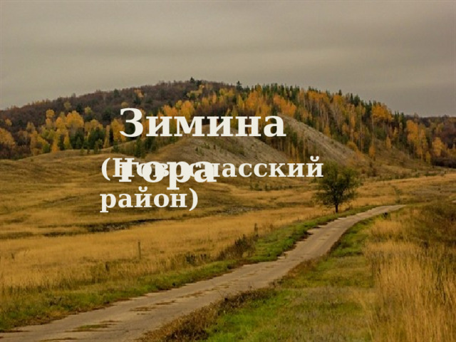 Зимина гора (Новоспасский район) 