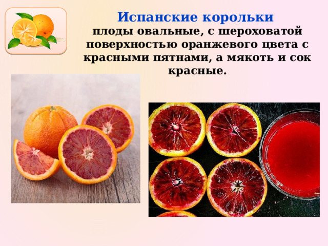 Испанские корольки  плоды овальные, с шероховатой поверхностью оранжевого цвета с красными пятнами, а мякоть и сок красные. 