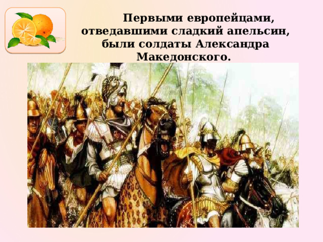  Первыми европейцами, отведавшими сладкий апельсин, были солдаты Александра Македонского. 