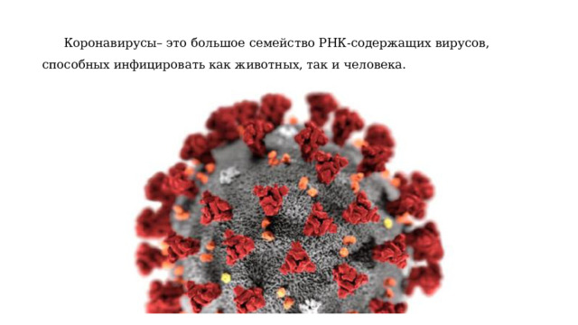 Коронавирусы– это большое семейство РНК-содержащих вирусов, способных инфицировать как животных, так и человека. 