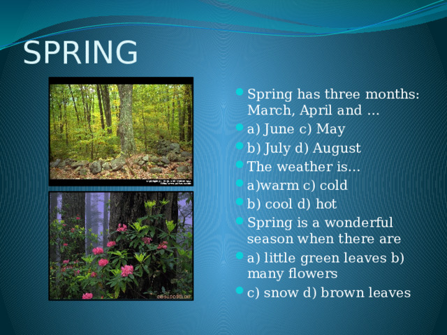 SPRING Spring has three months: March, April and … a) June c) May b) July d) August The weather is… a)warm c) cold b) cool d) hot Spring is a wonderful season when there are a) little green leaves b) many flowers  c) snow d) brown leaves 