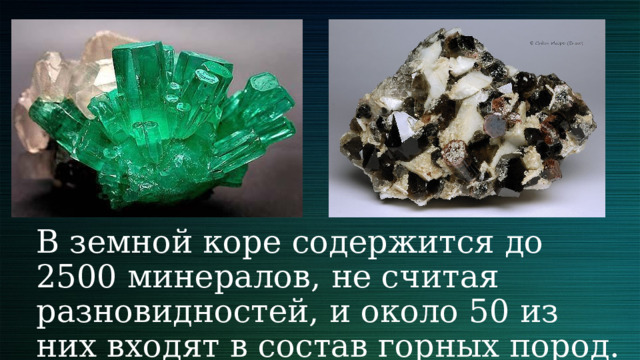 В земной коре содержится до 2500 минералов, не считая разновидностей, и около 50 из них входят в состав горных пород. 