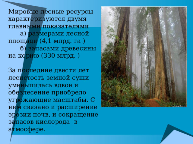 Мировые лесные ресурсы характеризуются двумя главными показателями  а) размерами лесной площади (4,1 млрд. га )  б) запасами древесины на корню (330 млрд. )   За последние двести лет лесистость земной суши уменьшилась вдвое и обезлесение приобрело угрожающие масштабы. С ним связано и расширение эрозии почв, и сокращение запасов кислорода в атмосфере. 