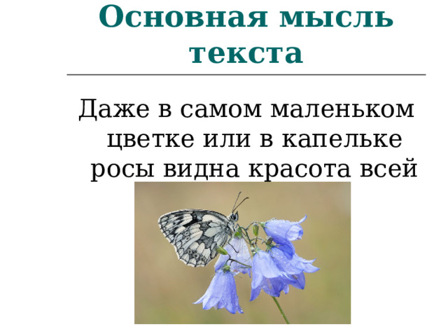 Основная мысль текста Даже в самом маленьком цветке или в капельке росы видна красота всей России. 