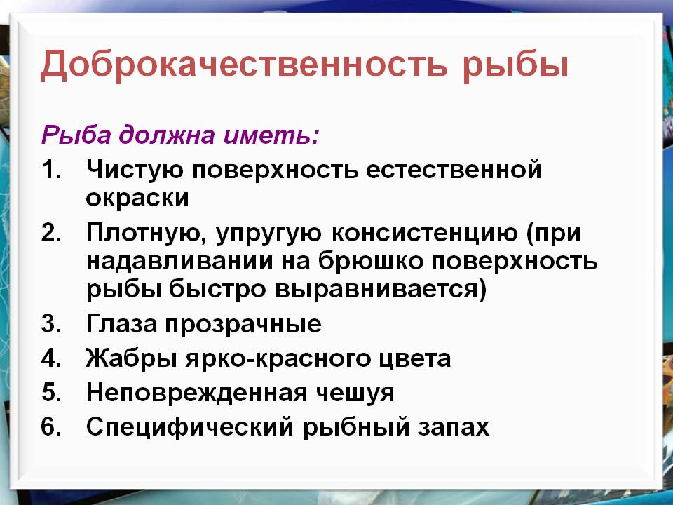Мясо и мясные продукты