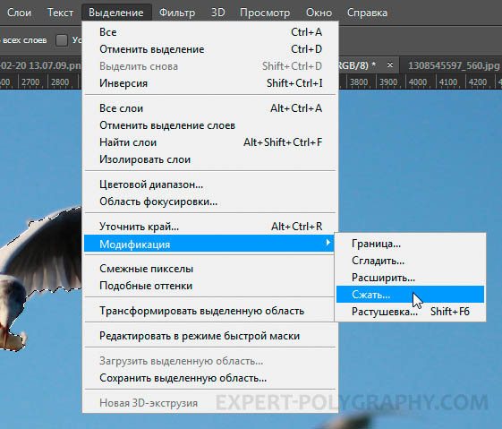 Инвертировать выделенное. Как Инвертировать выделение в фотошопе. Как сохранить выделенный объект в фотошопе. Как Инвертировать выделенную область в фотошопе