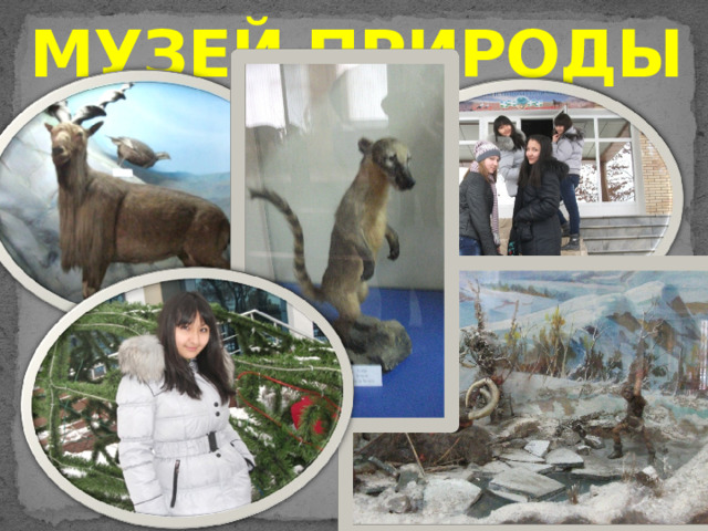 МУЗЕЙ ПРИРОДЫ 