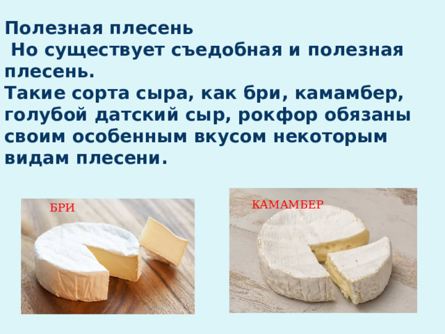 Полезная плесень  Но существует съедобная и полезная плесень.  Такие сорта сыра, как бри, камамбер, голубой датский сыр, рокфор обязаны своим особенным вкусом некоторым видам плесени.   КАМАМБЕР БРИ 
