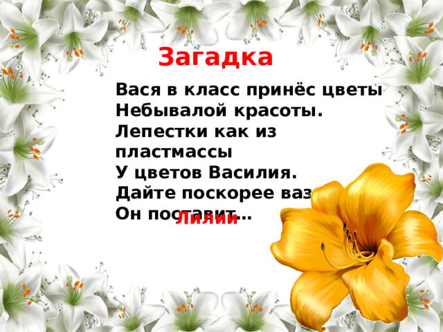 Загадка Вася в класс принёс цветы Небывалой красоты. Лепестки как из пластмассы У цветов Василия. Дайте поскорее вазу, Он поставит… Лилии 