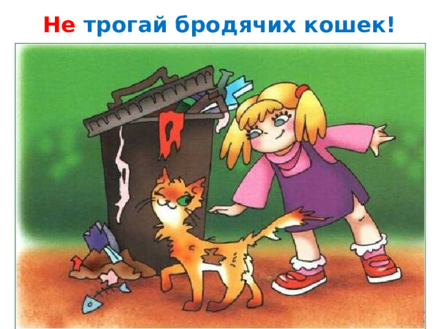 Не трогай бродячих кошек! 