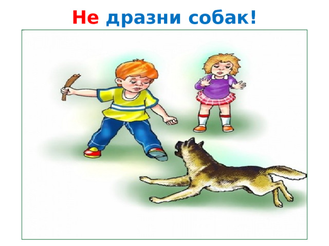 Не дразни собак! 