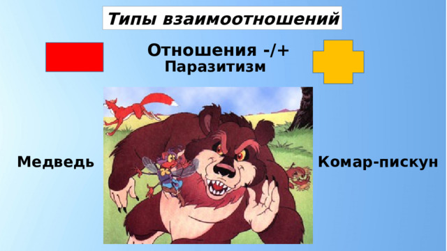 Типы взаимоотношений Отношения -/+ Паразитизм Комар-пискун Медведь 