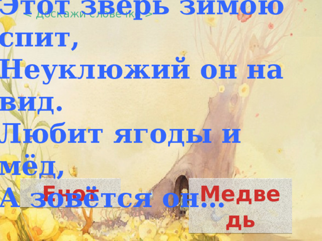  Этот зверь зимою спит,  Неуклюжий он на вид.  Любит ягоды и мёд,  А зовётся он…    Енот Медведь 