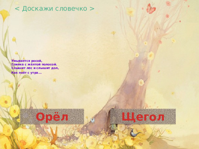  Умывается росой,  Спинка с жёлтой полосой.  Слышит лес и слышит дол,  Как поёт с утра…      Орёл Щегол 