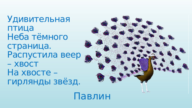 Удивительная птица  Неба тёмного страница.  Распустила веер – хвост  На хвосте – гирлянды звёзд. Павлин 