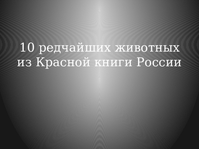 10 редчайших животных из Красной книги России   
