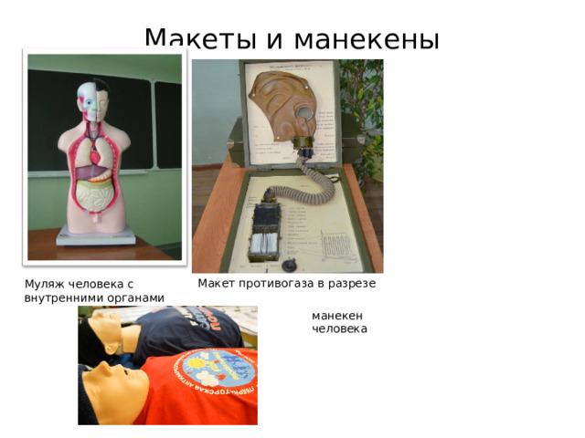 Макеты и манекены   Муляж человека с внутренними органами Макет противогаза в разрезе манекен человека 