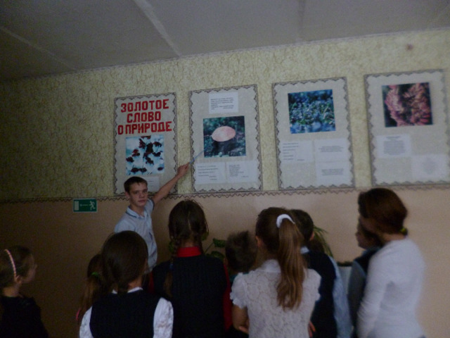 Экскурсия для учеников начальных классов в экологическом зале нашей школы.      