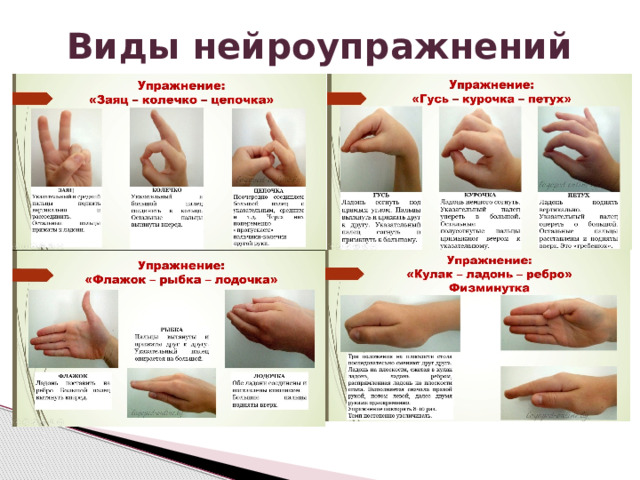 Виды нейроупражнений 
