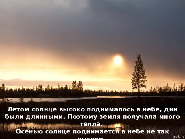 Летом солнце высоко поднималось в небе, дни были длинными. Поэтому земля получала много тепла. Осенью солнце поднимается в небе не так высоко, дни становятся короче, чем летом. Поэтому похолодало. 