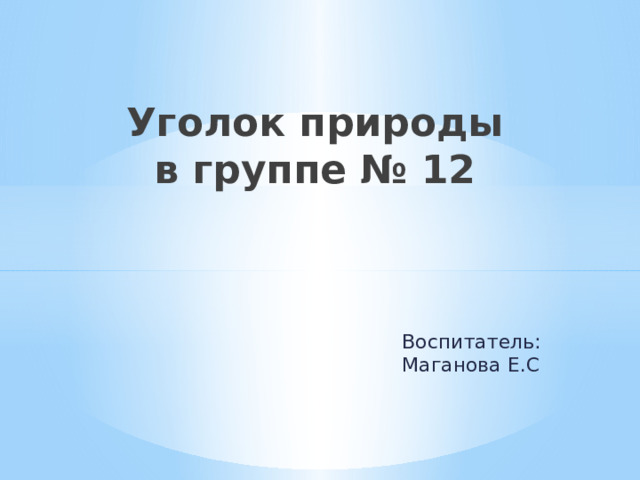 Уголок природы  в группе № 12 Воспитатель: Маганова Е.С 